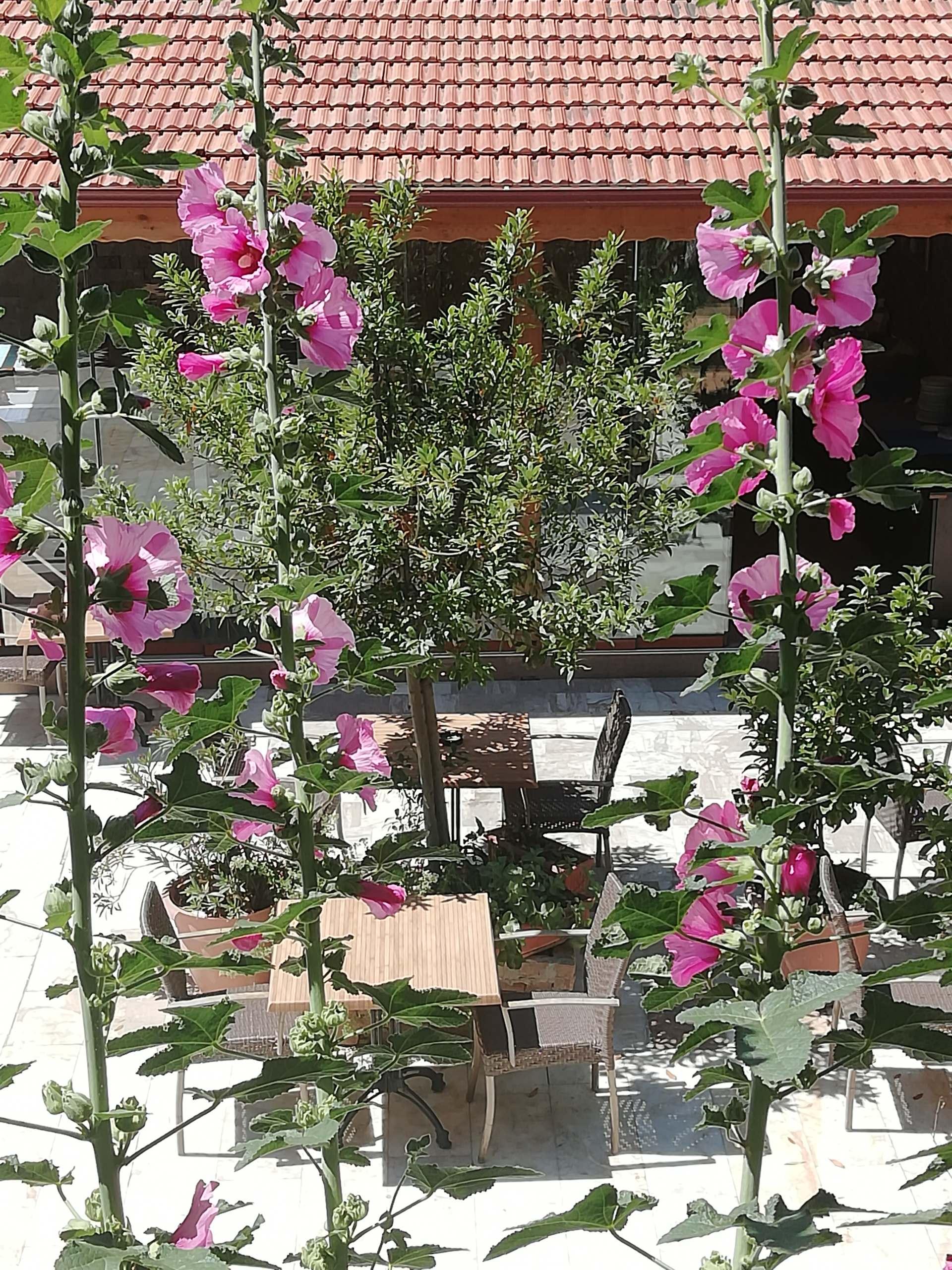 Koray Hotel Pamukkale Exterior foto